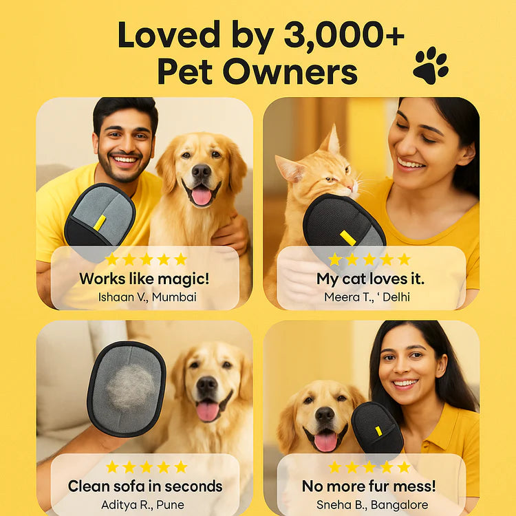 Orvo™ Pet Hair Glove - Groom & De-Shed